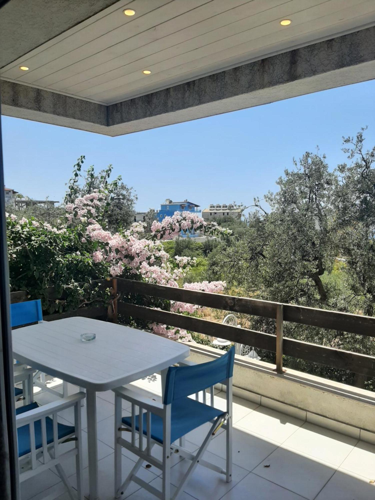 Olives 3* Dhërmi