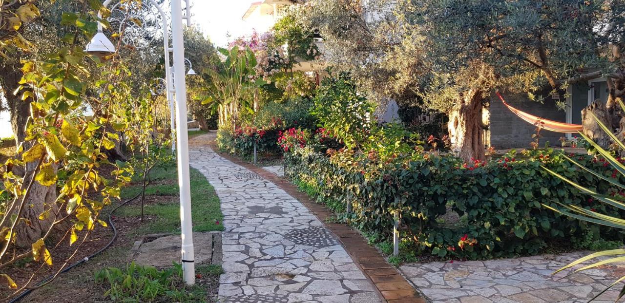 Olives Resort