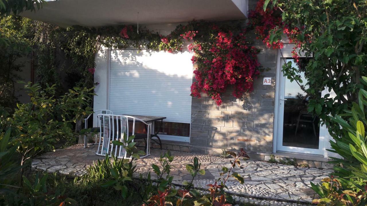 Olives Resort