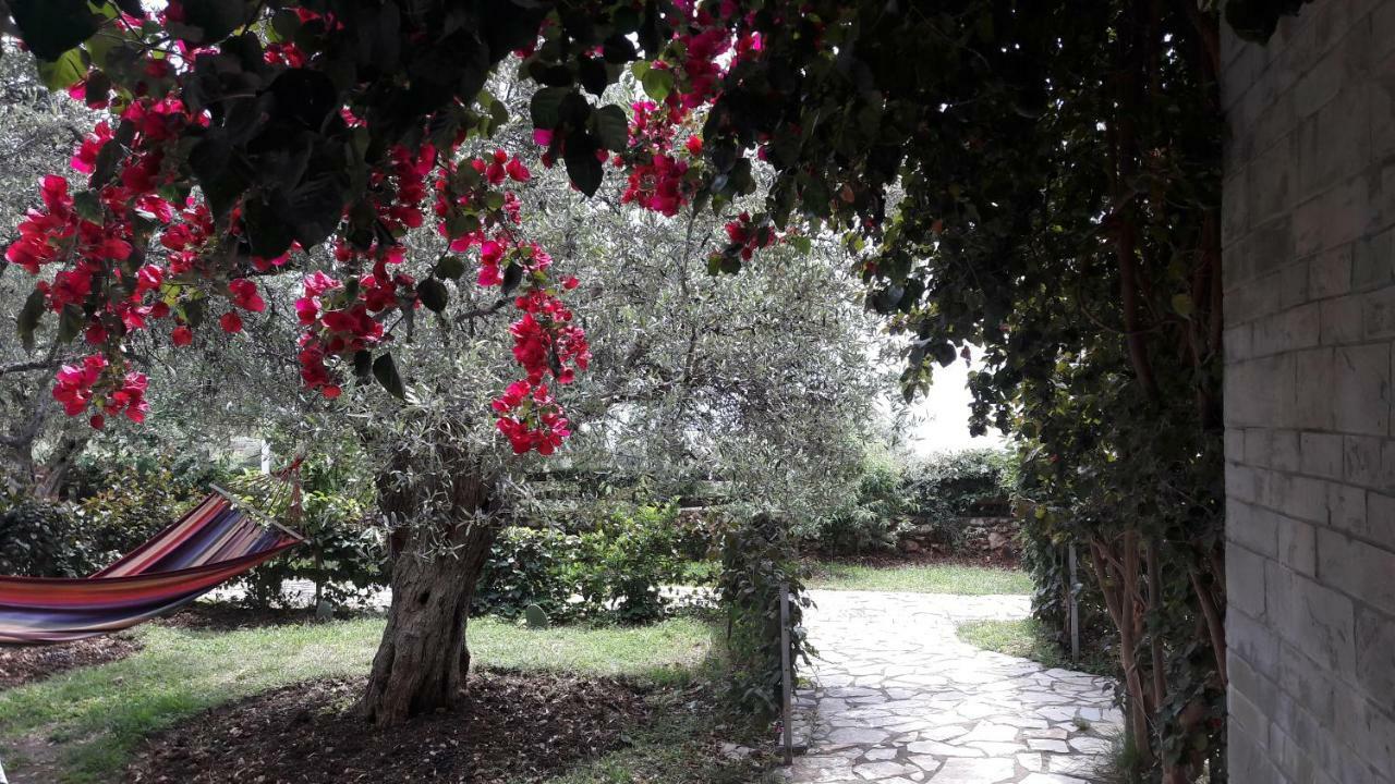 Resort Olives
