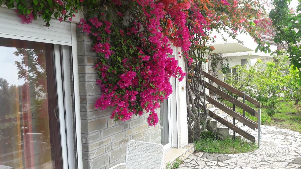Olives Resort